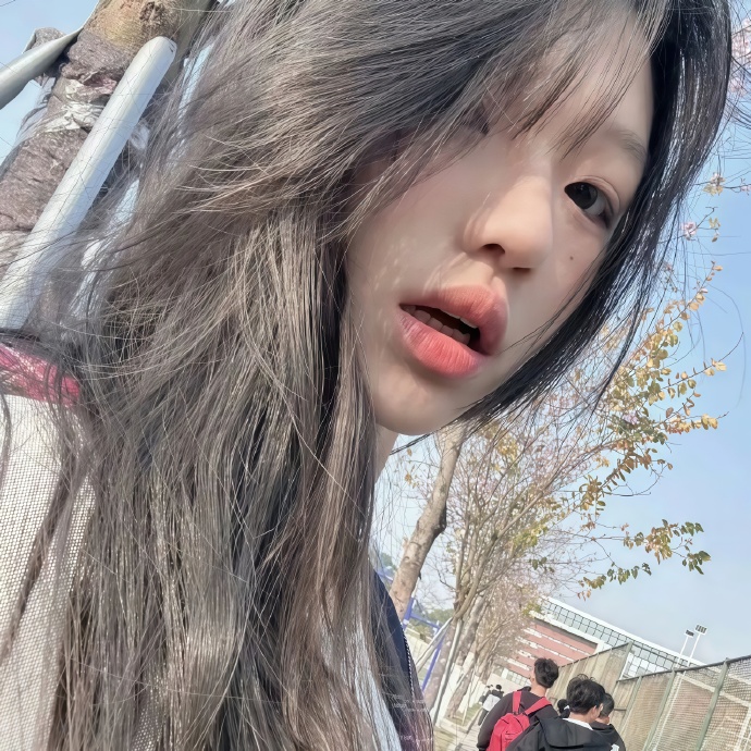 十七年落木，难寻旧时约