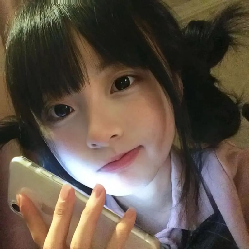 候鸟你不必再等待